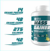 Muscle Asylum- Muscle Mass Anabolic Gainer- 14g Protein, 48g carbs, 275g Calories High Calorie Mass Gainer Weight Gainer Powder
