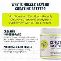 Muscle Asylum Creatine Monohydrate Powder 250Gm,83 Servings Boosts Athletic Performance Micronized & Instantized Fuels Muscles Provides Energy Support Heavy Workout Recovery Unflavoured