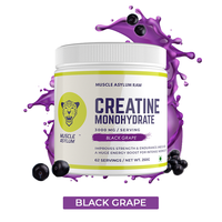 Muscle Asylum Micronized Creatine Monohydrate Powder