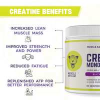Muscle Asylum Micronized Creatine Monohydrate Powder