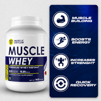 Muscle Asylum- Muscle Whey Protein - 24g Protein, 5.2g BCAA (1 Kg (2.2Lbs))